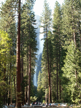 Parc de Yosemite 